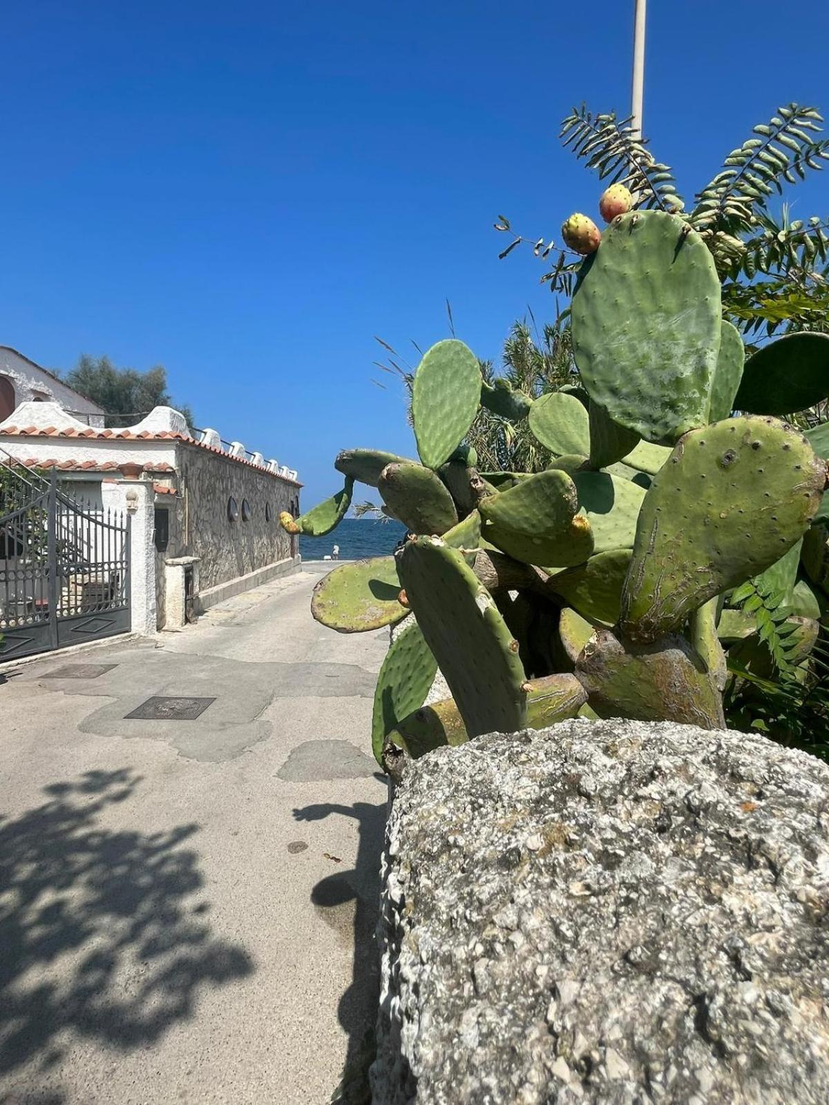 La Villetta Sul Mare Μπάρι Εξωτερικό φωτογραφία
